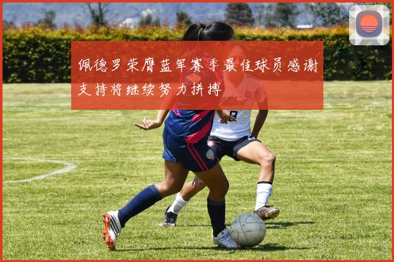 佩德罗荣膺蓝军赛季最佳球员感谢支持将继续努力拼搏